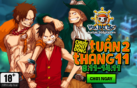 Hoạt Động Đợt 2 Tháng 11.2018